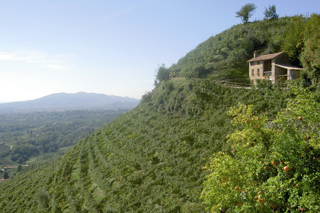 osteria senza oste_2