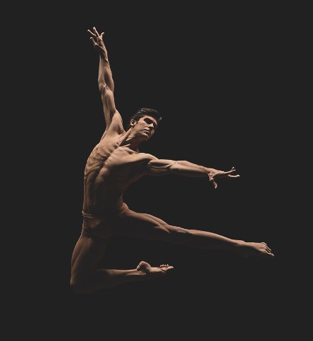 roberto-bolle