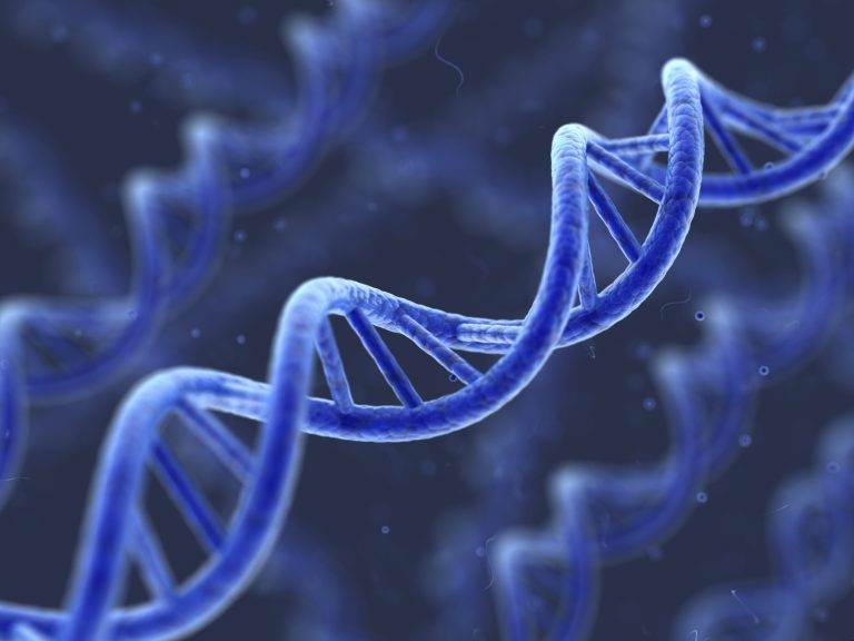 Figli ogm con tre Dna, il governo inglese vuole «passare la linea rossa» nonostante i dubbi della scienza
