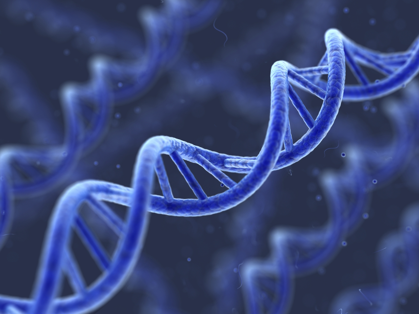 dna