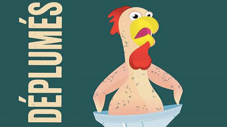 Polli, Passeri e Piccioni. “Spennati” dalle tasse di Hollande, gli imprenditori francesi ormai sono uno zoo di uccelli arrabbiati