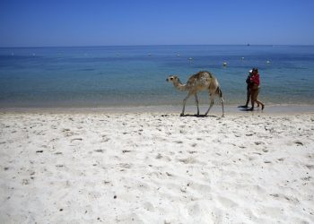 FILE - In this June 28, 2015 file photo, tourists and a baby camel walk on a beach in front of the Imperial Marhaba Hotel in Sousse, Tunisia. The blood on the sand has washed away, but the damage wreaked on Tunisia by a few terrifying minutes of gunfire at a beach resort will be deep and lasting. The tourist economy is likely to be gutted: Up to 2 million hotel nights per year are expected to be lost, hastened by warnings from Britain and other European governments last week that their citizens are no longer safe on . (AP Photo/Darko Vojinovic, File)