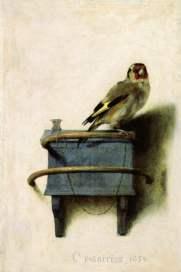 Carel Fabritius, Il Cardellino
