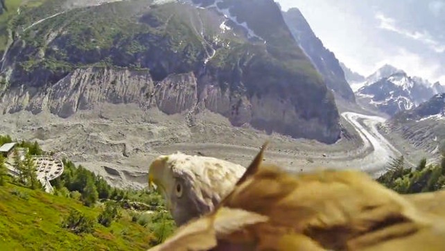 aquila-gopro