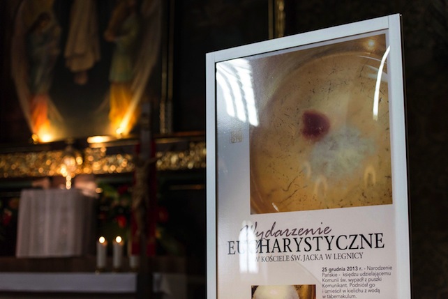Il miracolo eucaristico avvenuto in Polonia «è un mistero e un segno della generosità di Dio»