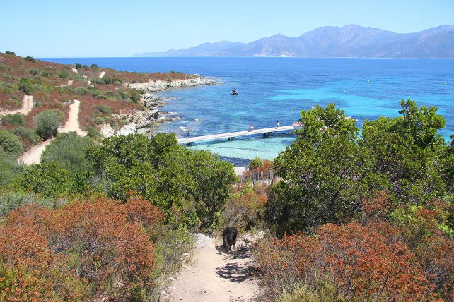 corsica-saint-florent-shutterstock_608087879