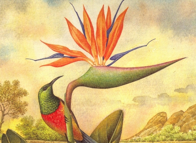 Così insegnarono l’arte dei regimi e della natura