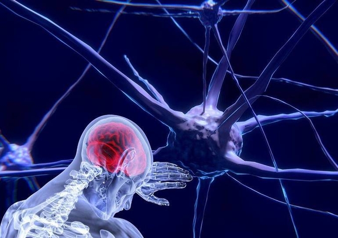 Il mistero del cervello al Meeting