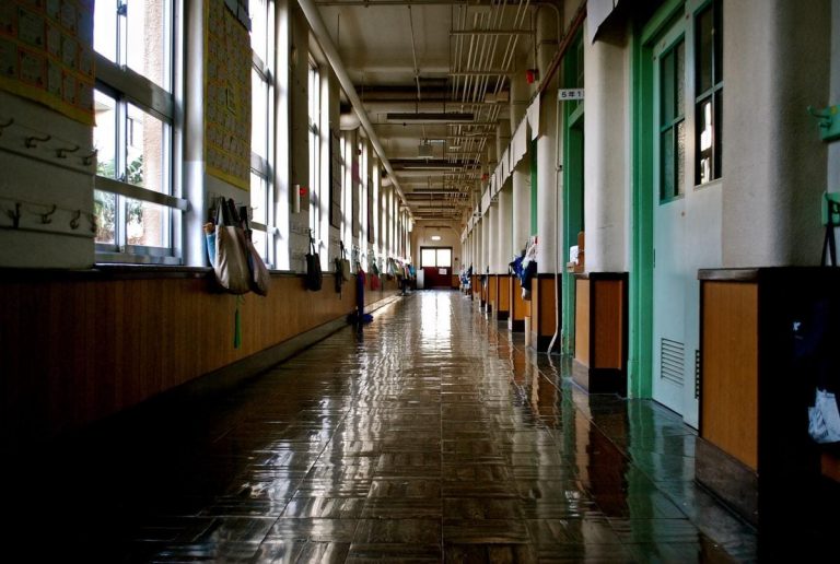 Cosa è stato fatto per la scuola? Niente