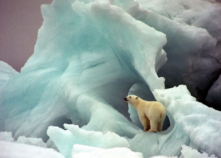 Povero Occidente, stritolato tra dittatura ecologista e gender
