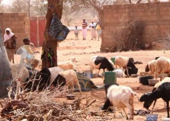 Cristiani perseguitati del Niger rifugiati in Burkina Faso