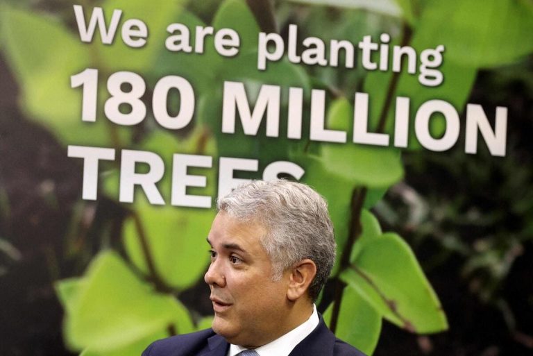 Meglio il vago no alla deforestazione della Cop26 dei miliardi di alberi del G20