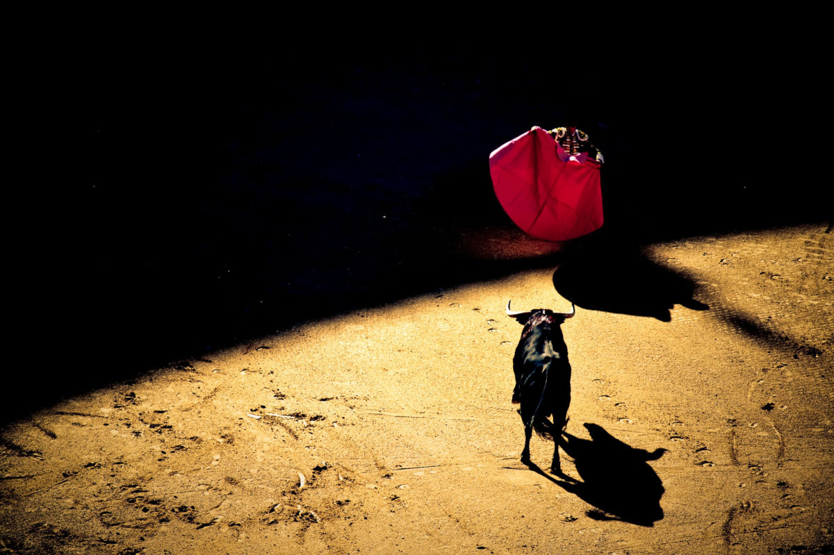 Toro e torero nell’arena