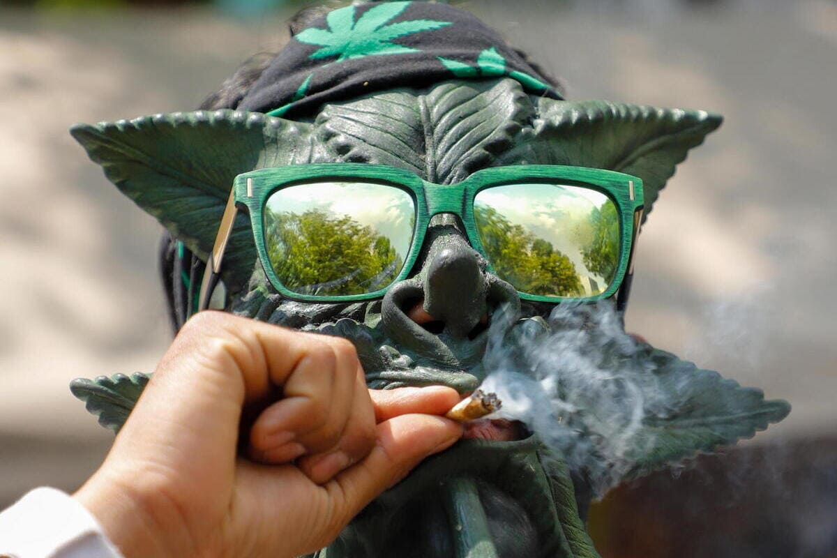 Cannabis rapporto droga onu