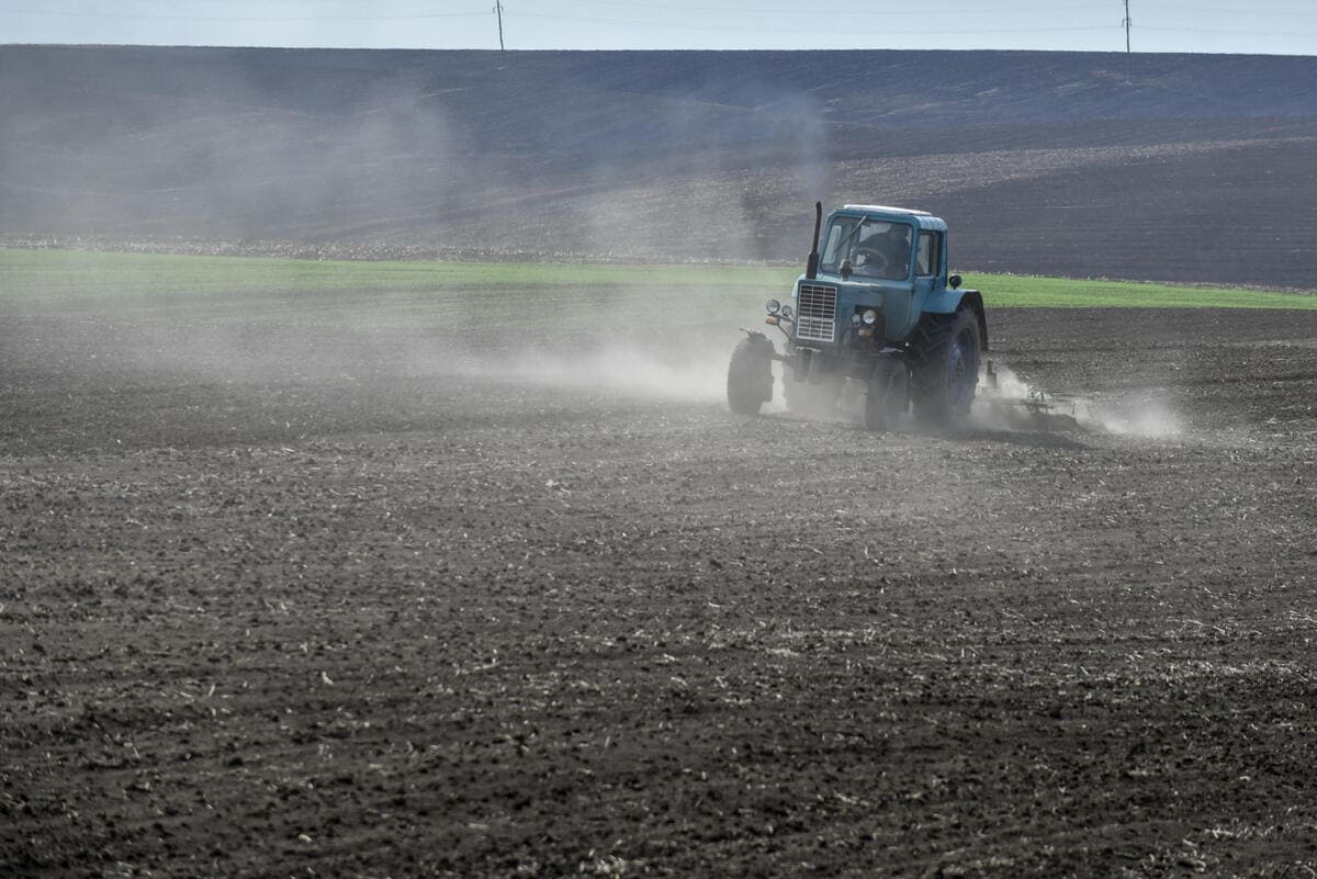 Trattore in campo di grano in Ucraina