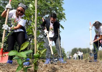 Giovani in Italia piantano nuovi alberi