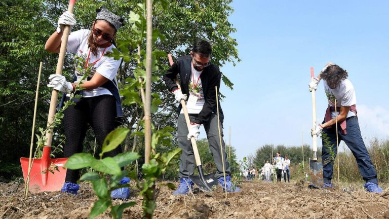 L’Ue ha promesso «tre miliardi di alberi entro il 2030». Siamo a tre milioni