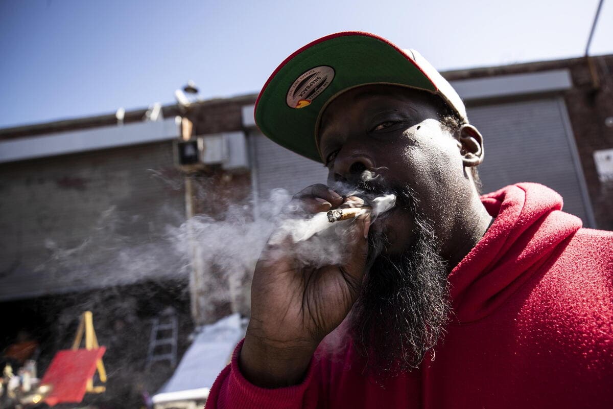 cannabis marijuana