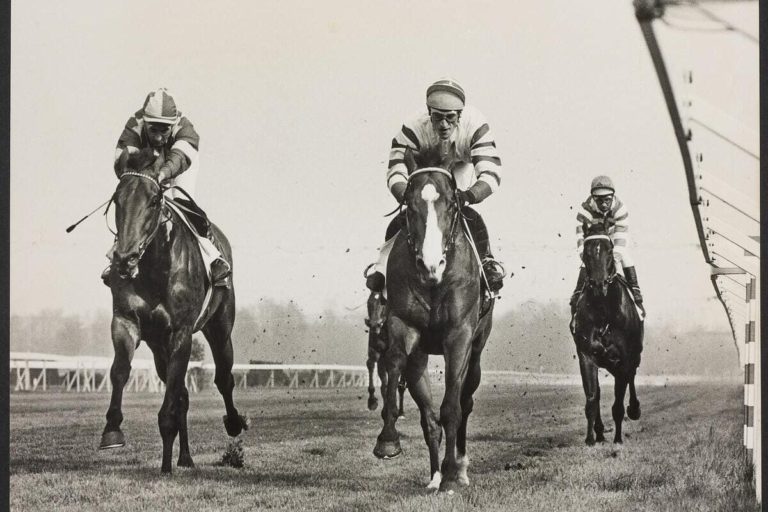 Tutti all’ippodromo. Milano ricomincia a galoppare tra passato e futuro