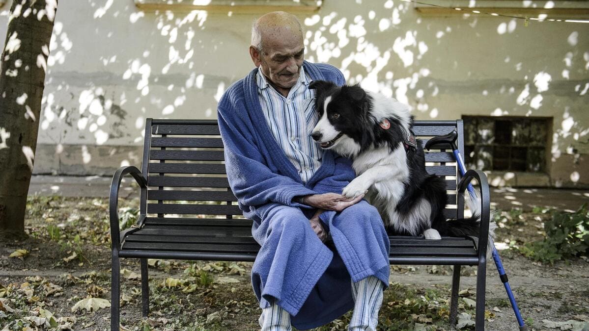 cure palliative