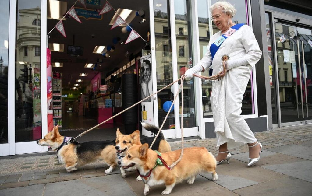 Una imitatrice della regina Elisabetta con i suoi corgi, Londra, 30 maggio 2022 (foto Ansa)